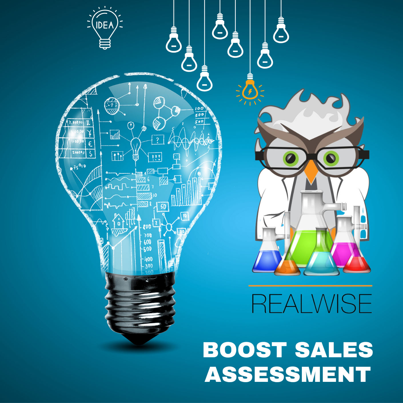 BOOST Sales Assessment — RealWise Academy